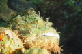   Looking Treasures beneath rocks.. rocks  